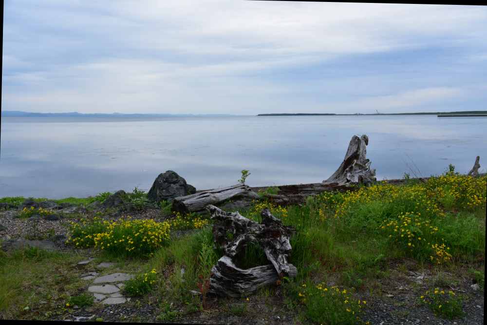 f0202686_15492726.jpg