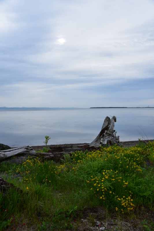 f0202686_15494311.jpg