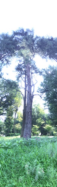 b0042190_9293860.jpg