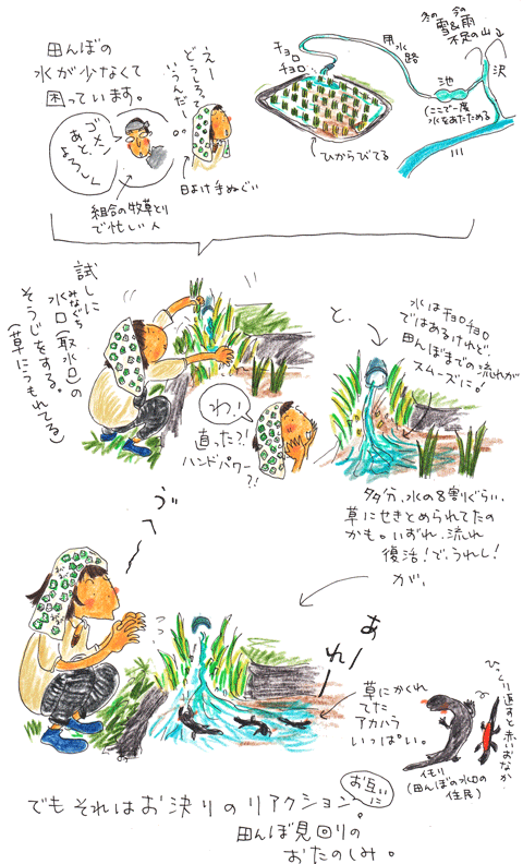 センス・オブ・ワンダー アカハラ編_f0236291_1024061.gif