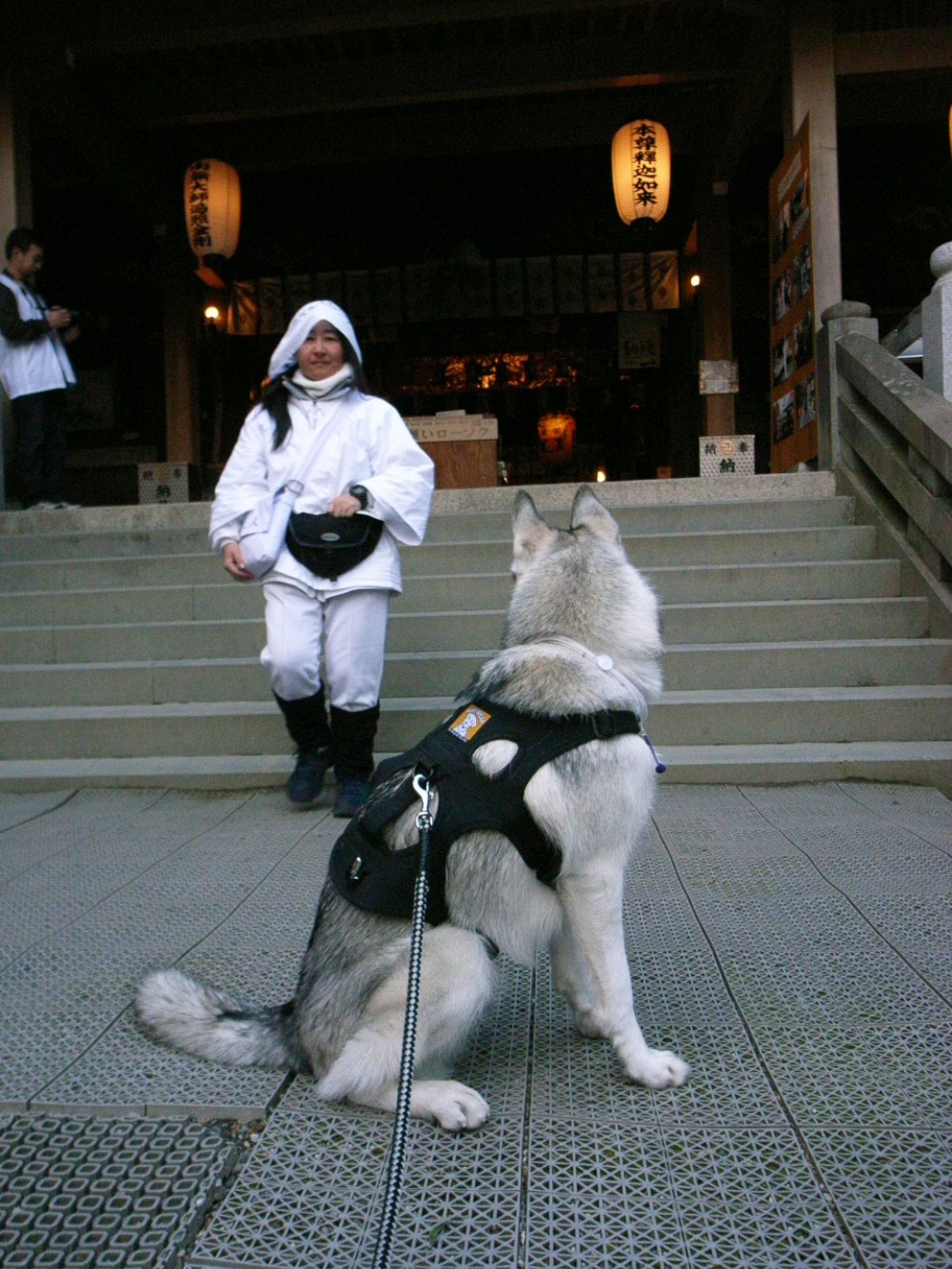 Shikoku Pilgrimage with Hana2, Dec.29th in 2005 (2)_c0049299_22412683.jpg