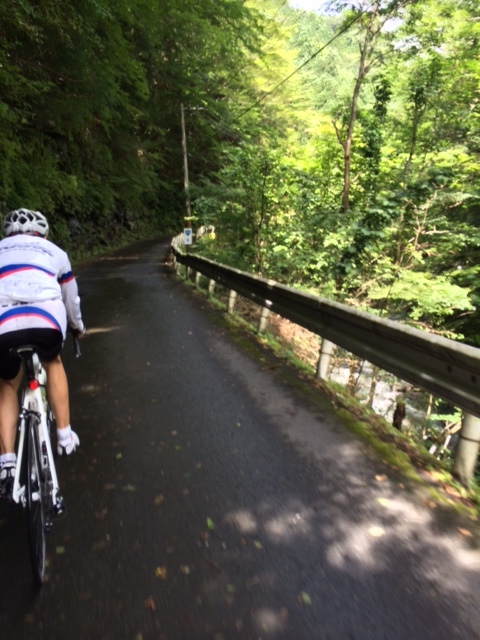 第12回 山岳グランフォンドin吉野 ①_b0246207_07324865.jpg