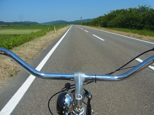 e0243008_854355.jpg