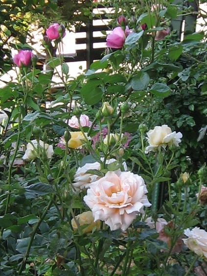 f0325309_14574976.jpg