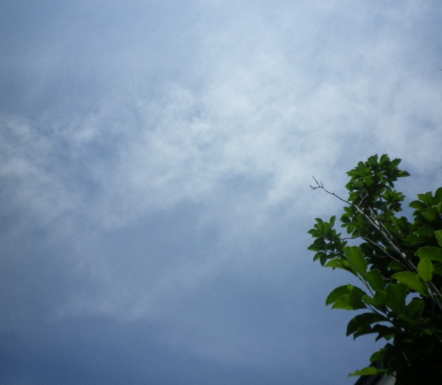 e0052716_10261876.jpg