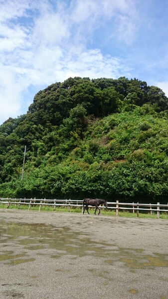 b0187620_2151534.jpg