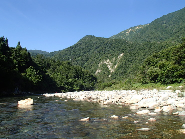 d0172227_758479.jpg