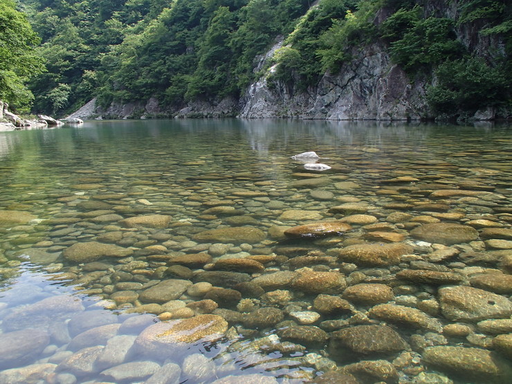 d0172227_7593679.jpg