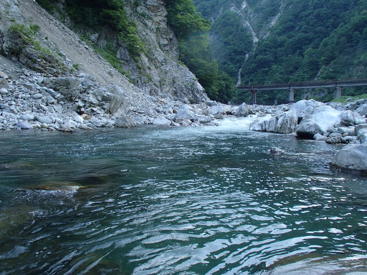 d0172227_815626.jpg