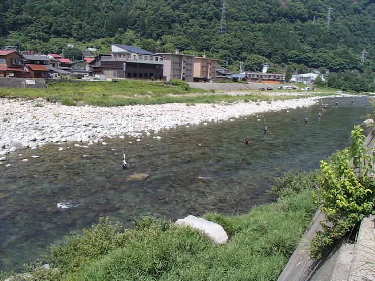 d0172227_852076.jpg