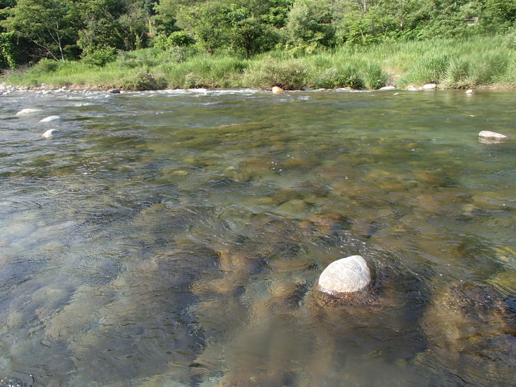 d0172227_861488.jpg
