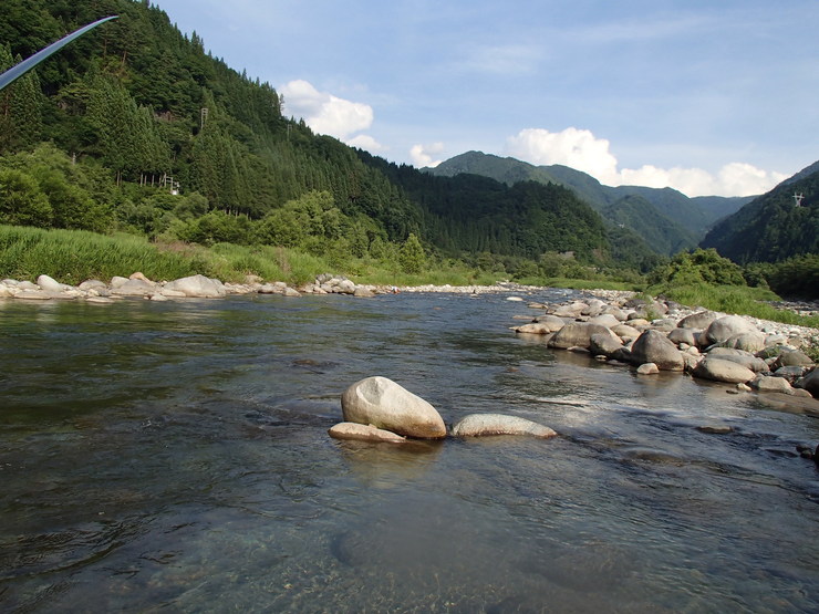 d0172227_86276.jpg