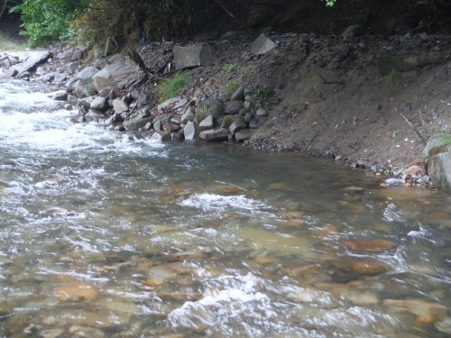 ホームH川釣行_c0149633_19121528.jpg