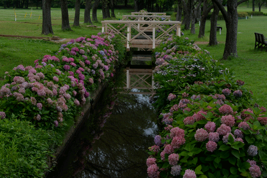 c0093046_17172071.gif