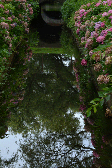 c0093046_17174821.gif
