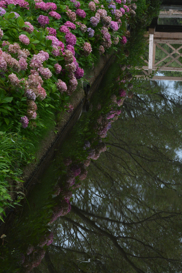 c0093046_17181036.gif