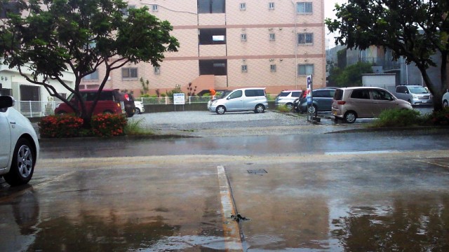 台風9号上陸。_a0151947_9185491.jpg