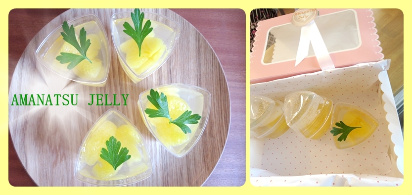 自宅レッスン ペン立て シャルニエの箱 A4ファイルケース_f0305451_1545205.jpg