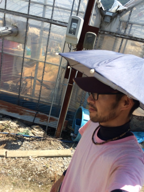 第二弾_f0320754_0404672.jpg