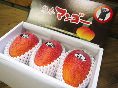 樹上完熟アップルマンゴー『煌(きらめき)』の商品ラインナップ!_a0254656_18343529.jpg