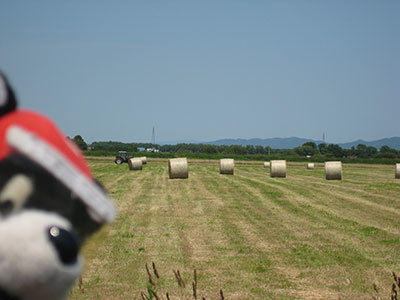 b0159557_17475462.jpg
