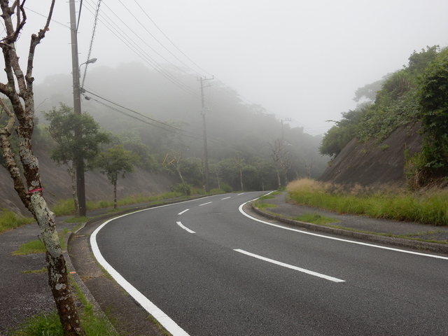 ’15,7,13(月)田舎道のカンナロード!_f0060461_10164273.jpg
