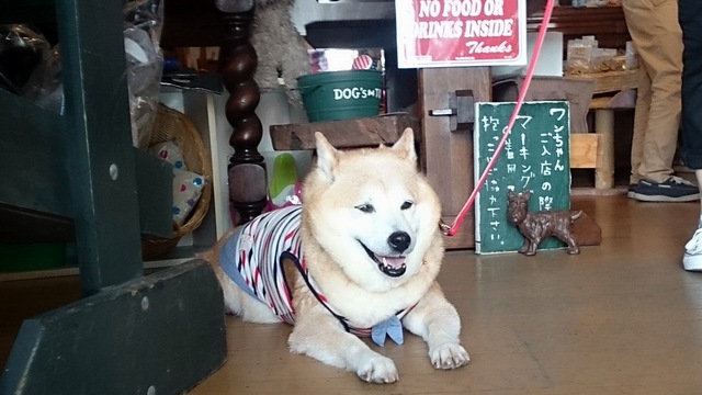 軽井沢で焼き鳥三昧！_b0274270_1057499.jpg