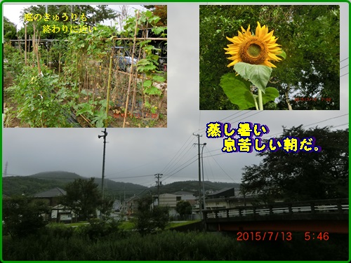 d0007071_21364516.jpg