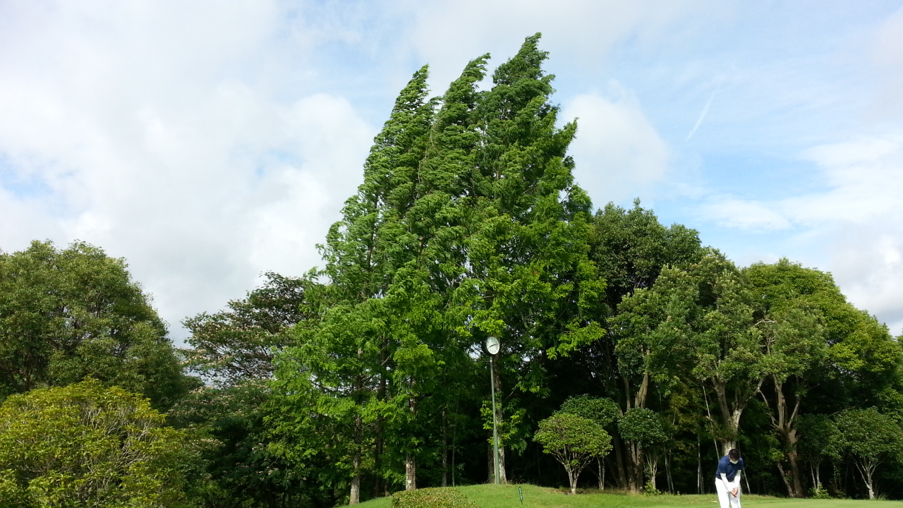 北六甲C,Cラウンドレッスン_c0160277_19113439.jpg