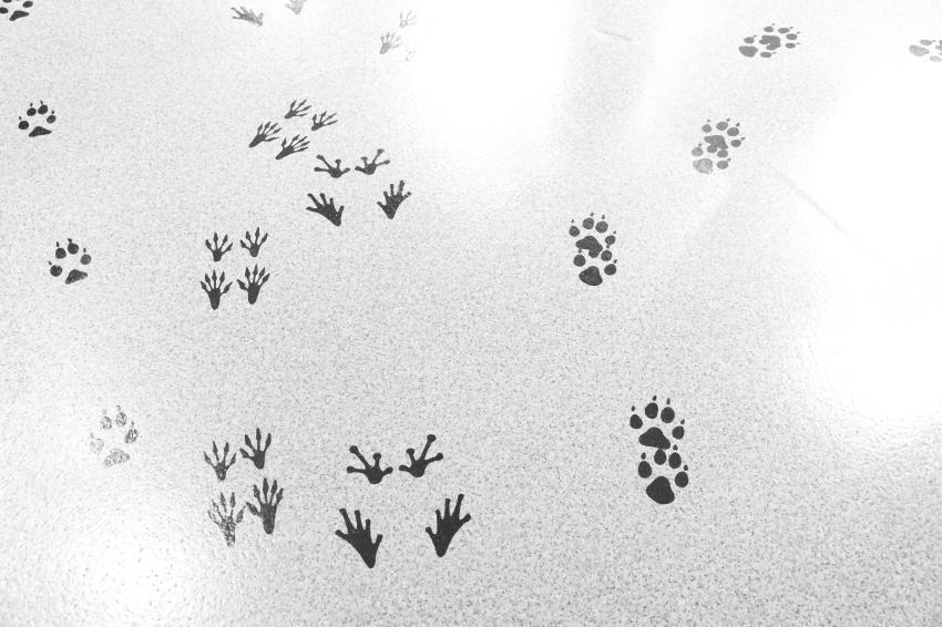 c0356480_19581838.jpg