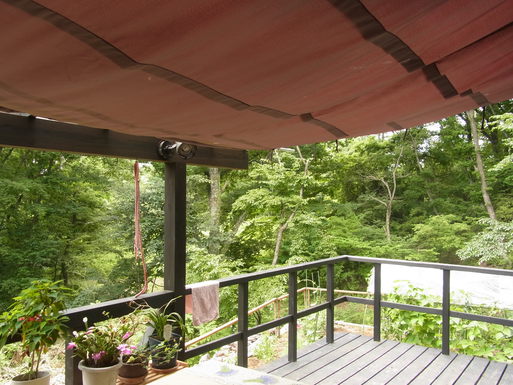 e0008887_1844738.jpg