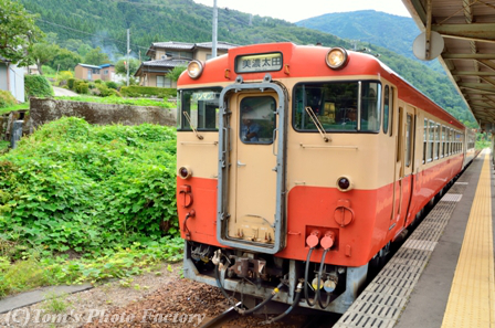 高山線の風景_b0155692_21362630.jpg