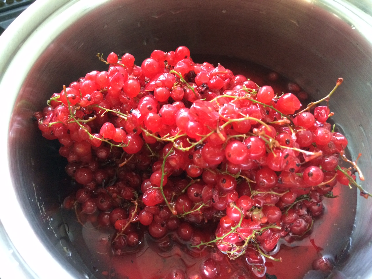 八ヶ岳でレッドカラントの収穫 そしてジャムに 唐沢美智子の 書と音楽の日々 ときどき合気道