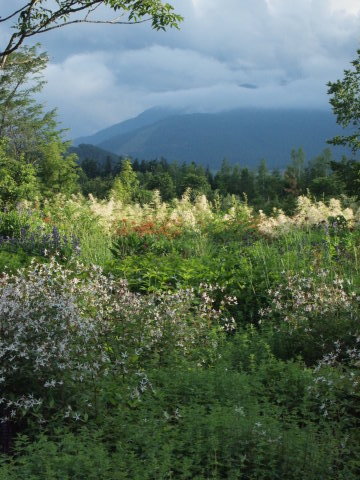 「千年の森」のボーダーに恋する♪･･････北海道その４_b0331802_23214632.jpg