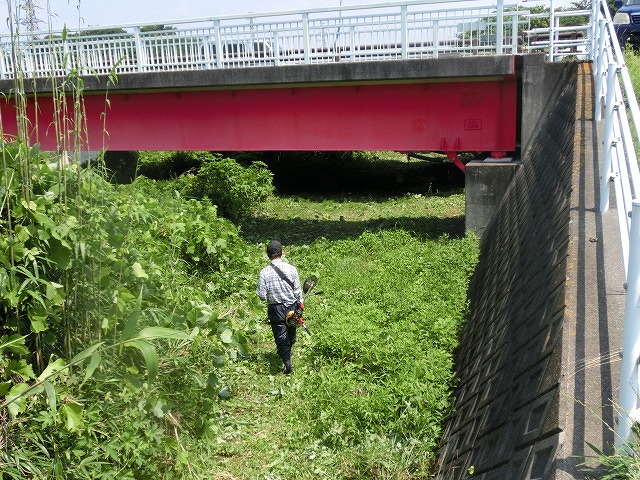 f0141310_7485078.jpg