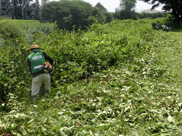 f0141310_748729.jpg