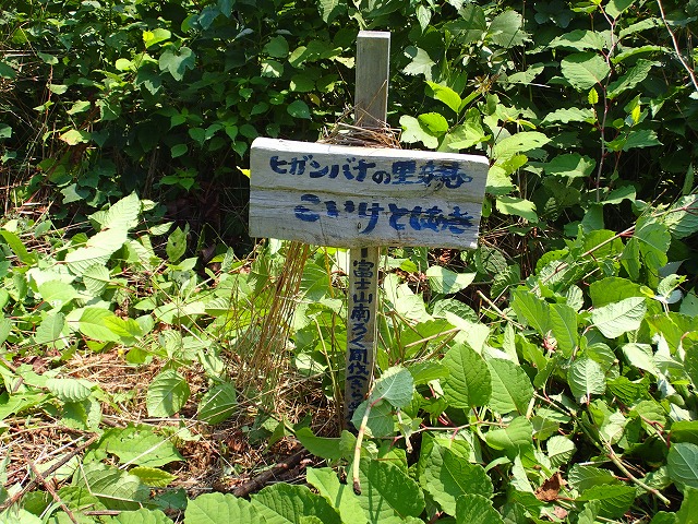 f0141310_7492268.jpg