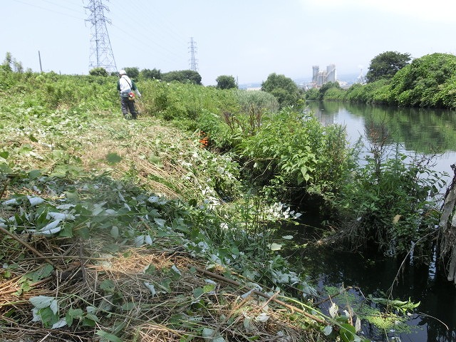 f0141310_750233.jpg