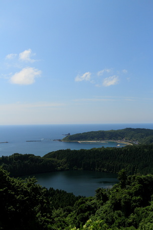 d0181314_226618.jpg