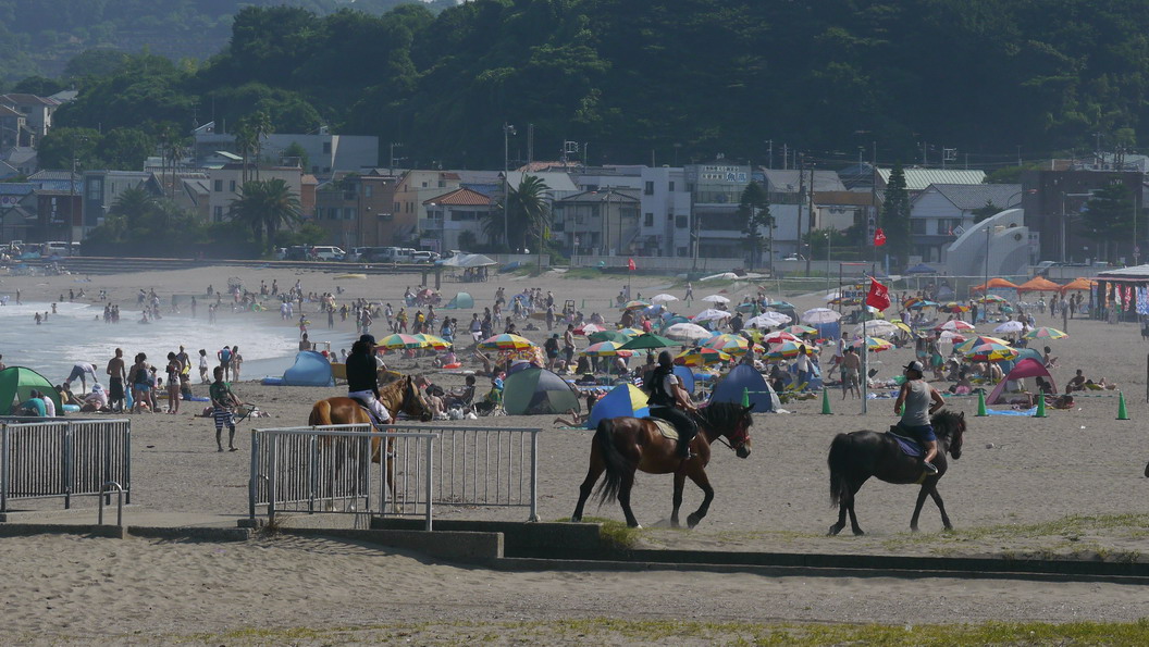 三 浦 海 岸 海 水 浴 場　No.4_d0039021_14335212.jpg