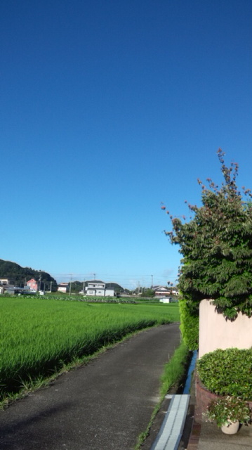 a0093423_84980.jpg