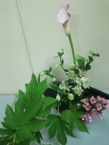 c0366326_15320340.jpg