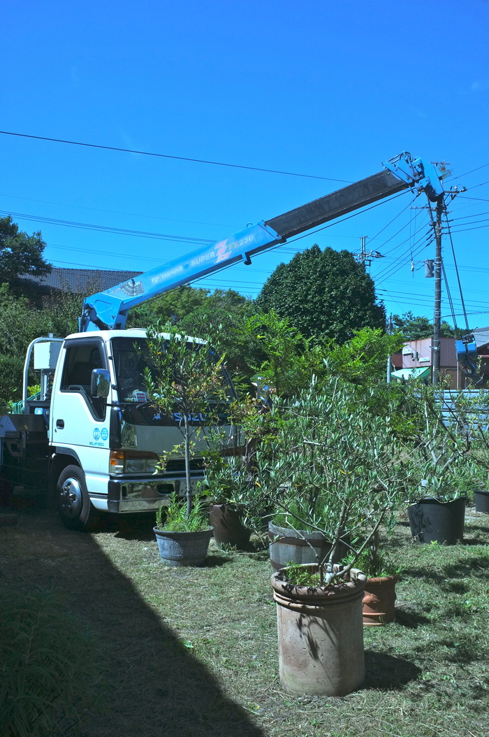 座敷の室礼 ＆ 庭の草刈り後_c0308431_2115365.jpg