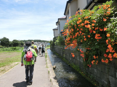 お茶壷道中(甲州街道) ハケ下の道_f0019247_2113429.jpg