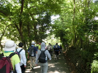 お茶壷道中(甲州街道) ハケ下の道_f0019247_2161684.jpg