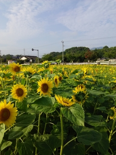 道の駅_e0352849_19380834.jpg