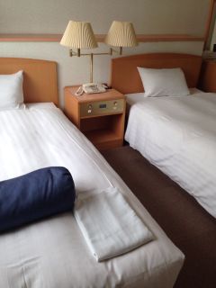 高知旅行 初日_e0189353_16364912.jpg