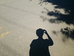 f0130259_1544968.jpg