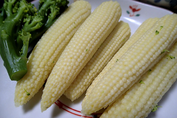 a0083760_0373146.jpg