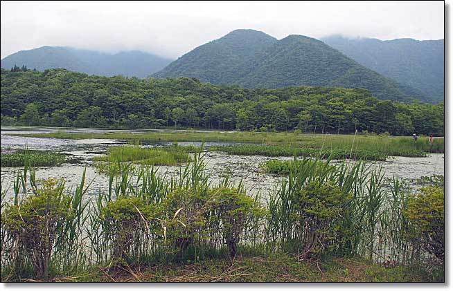 南会津・・・観音沼森林公園(2)_b0053765_16230792.jpg